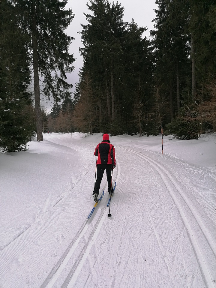 ein Bild vom aktuellen Zustand der Loipe zwischen Tellerhäuser und Fichtelberg