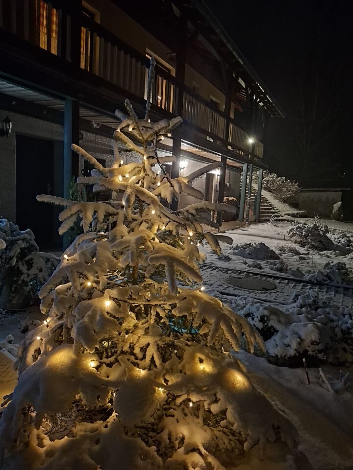 ein beschneites Nadelbäumchen vor den Ferienwohnungen Weißflog "Haus Luchsbachtal"