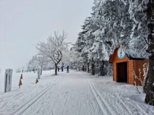 verschneite Landschaft mit einer Loipe und einer Holzhütte